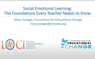 Webinar: The Foundations Every Teacher Needs to Know