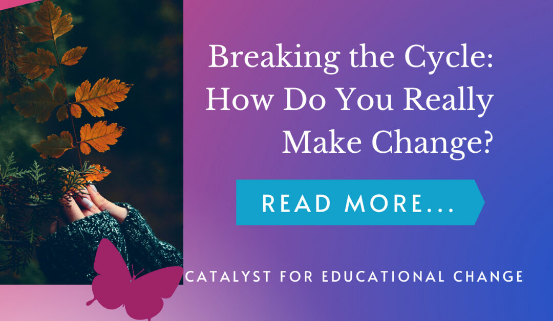 Breaking the Cycle: How do you really make change?