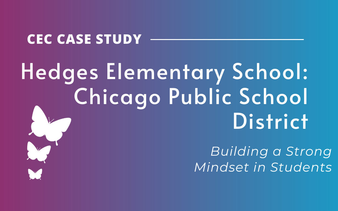 Chicago Public School District: Hedges Elementary School